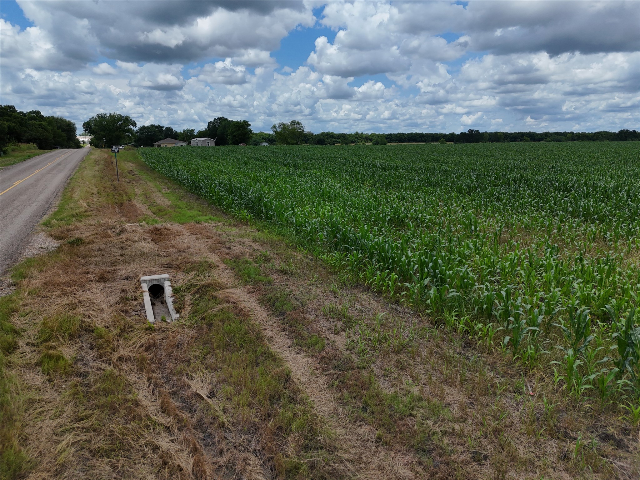 150001 Fm 198 Enloe TX 75441