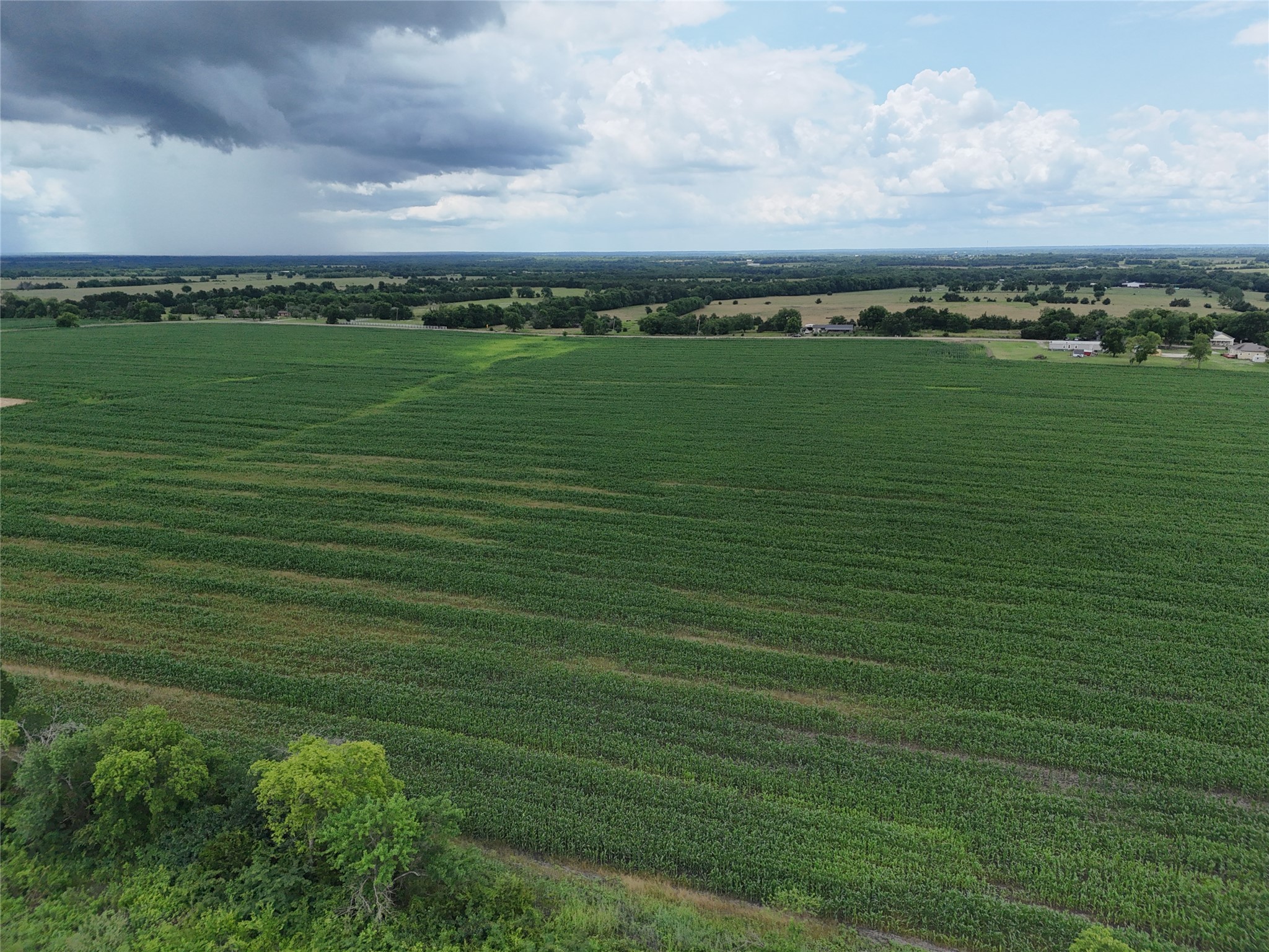 150001 Fm 198 Enloe TX 75441
