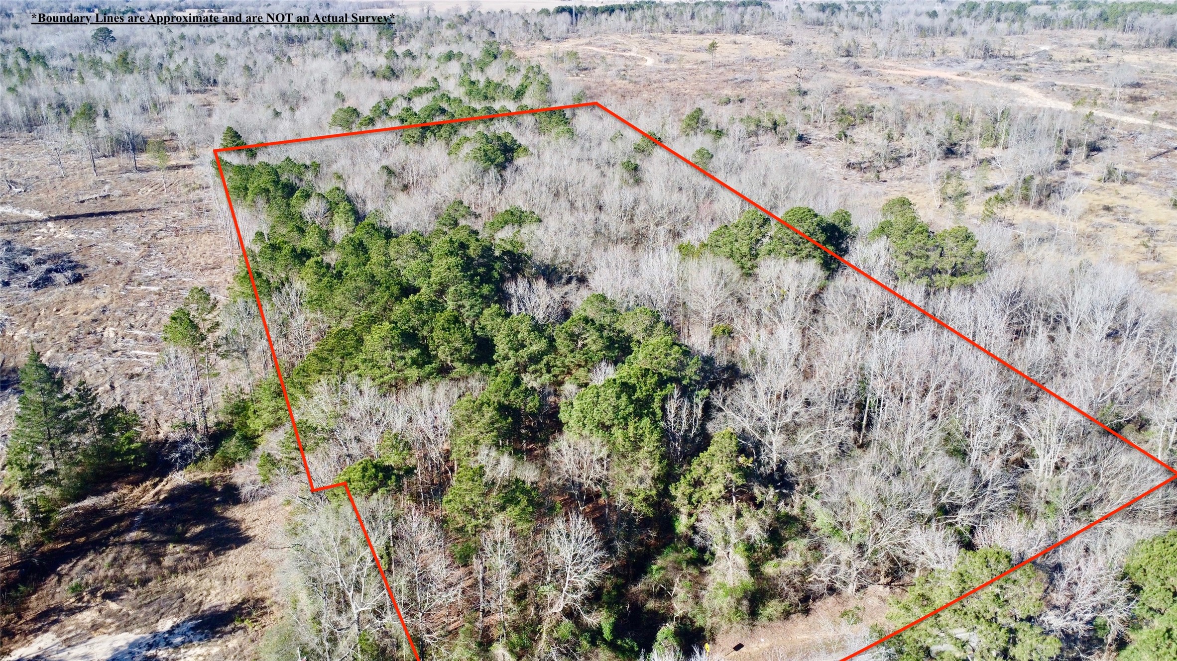 Tbd Fm 161 N Naples TX 75568