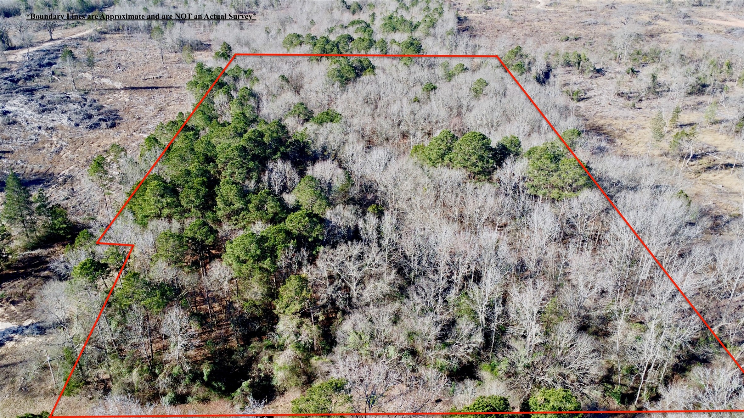 Tbd Fm 161 N Naples TX 75568