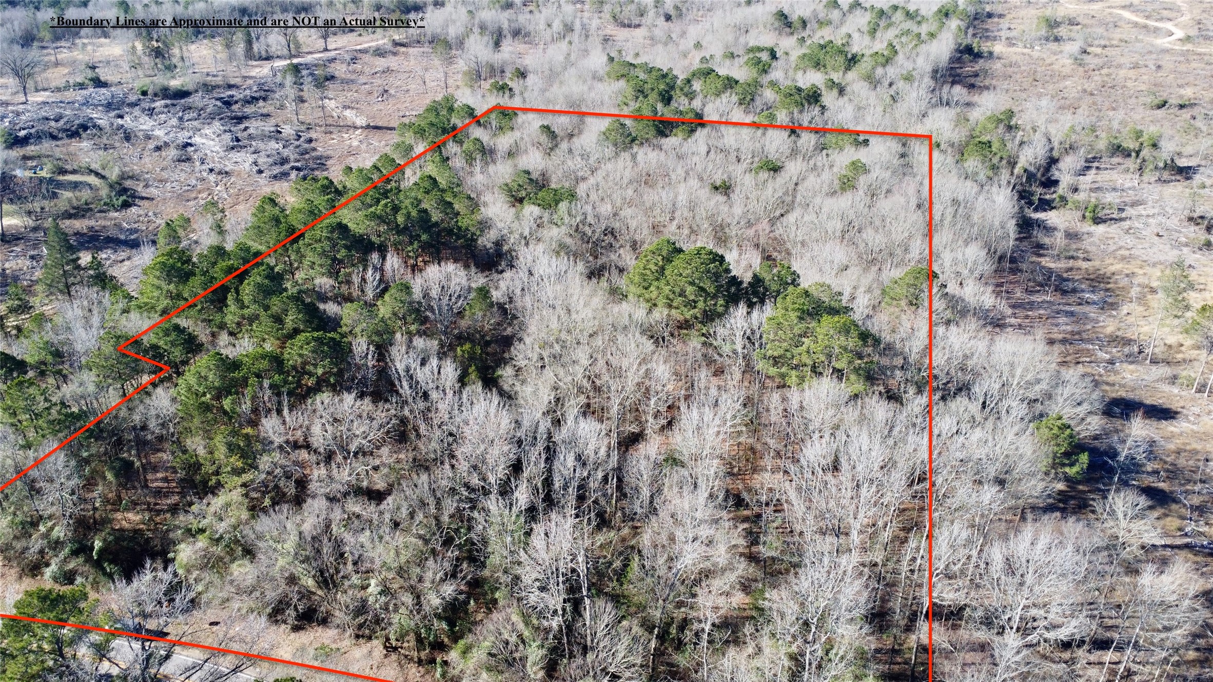 Tbd Fm 161 N Naples TX 75568