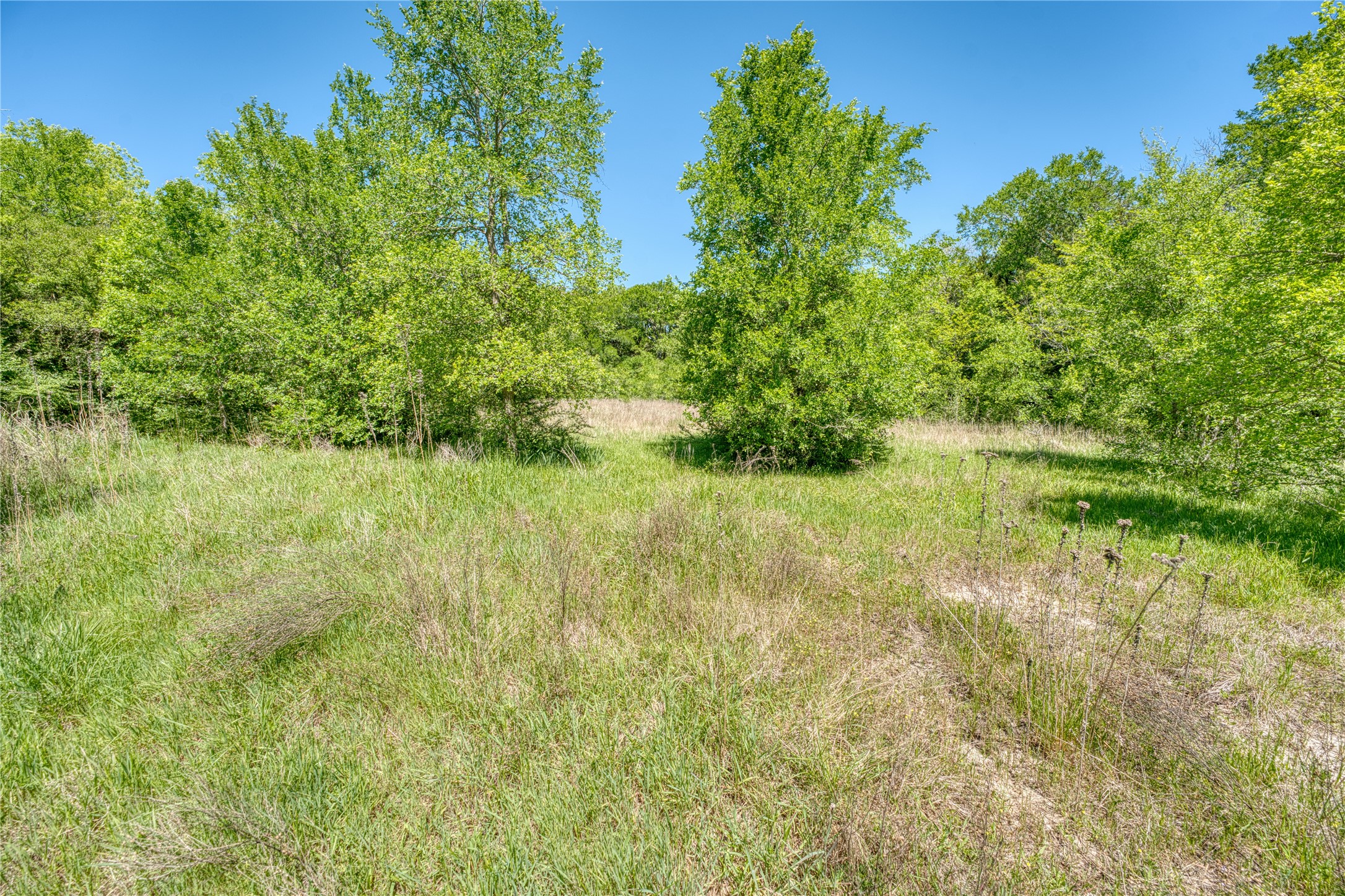 0 County Road 1036 Greenville TX 75401