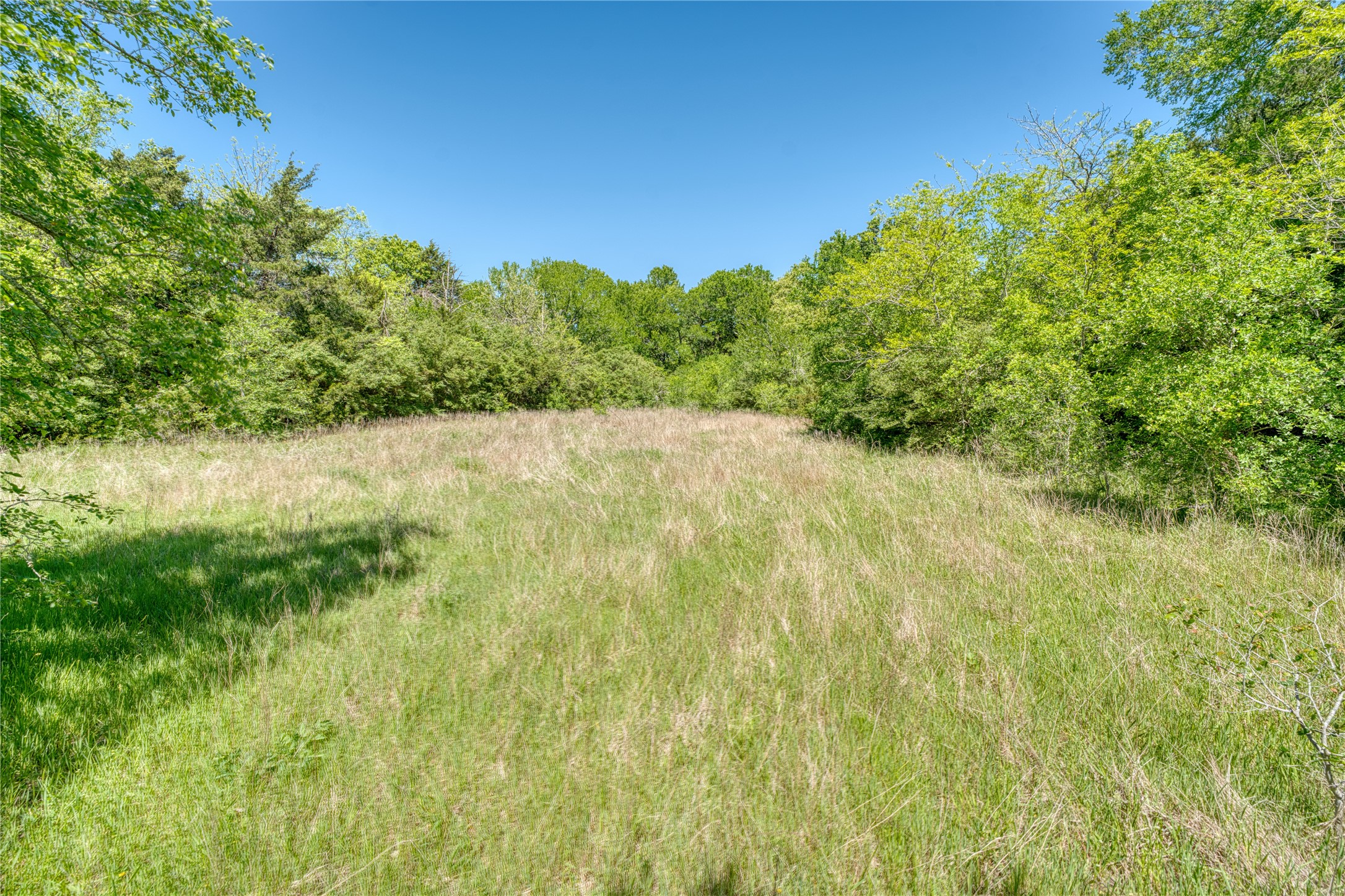 0 County Road 1036 Greenville TX 75401