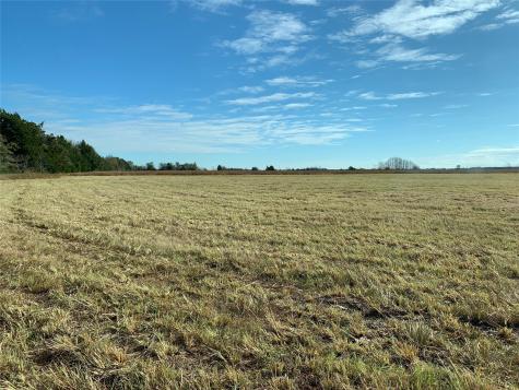 Tbd SE County Road 4230 Kerens TX 75144