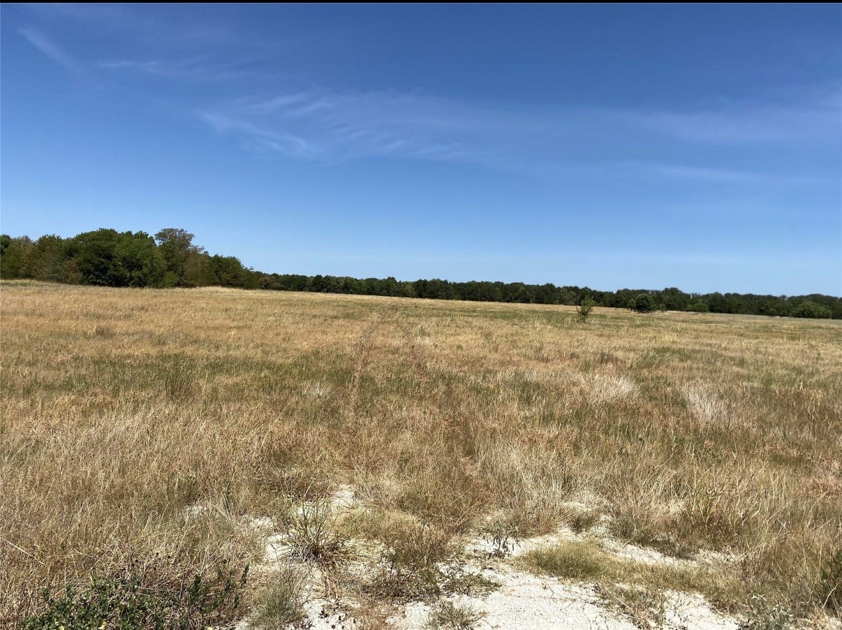 Tbd SE County Road 4230 Kerens TX 75144
