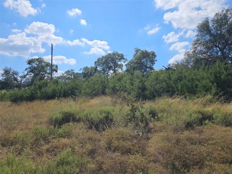 TBD-29.38 Acres Greenbriar Road Gatesville TX 76528