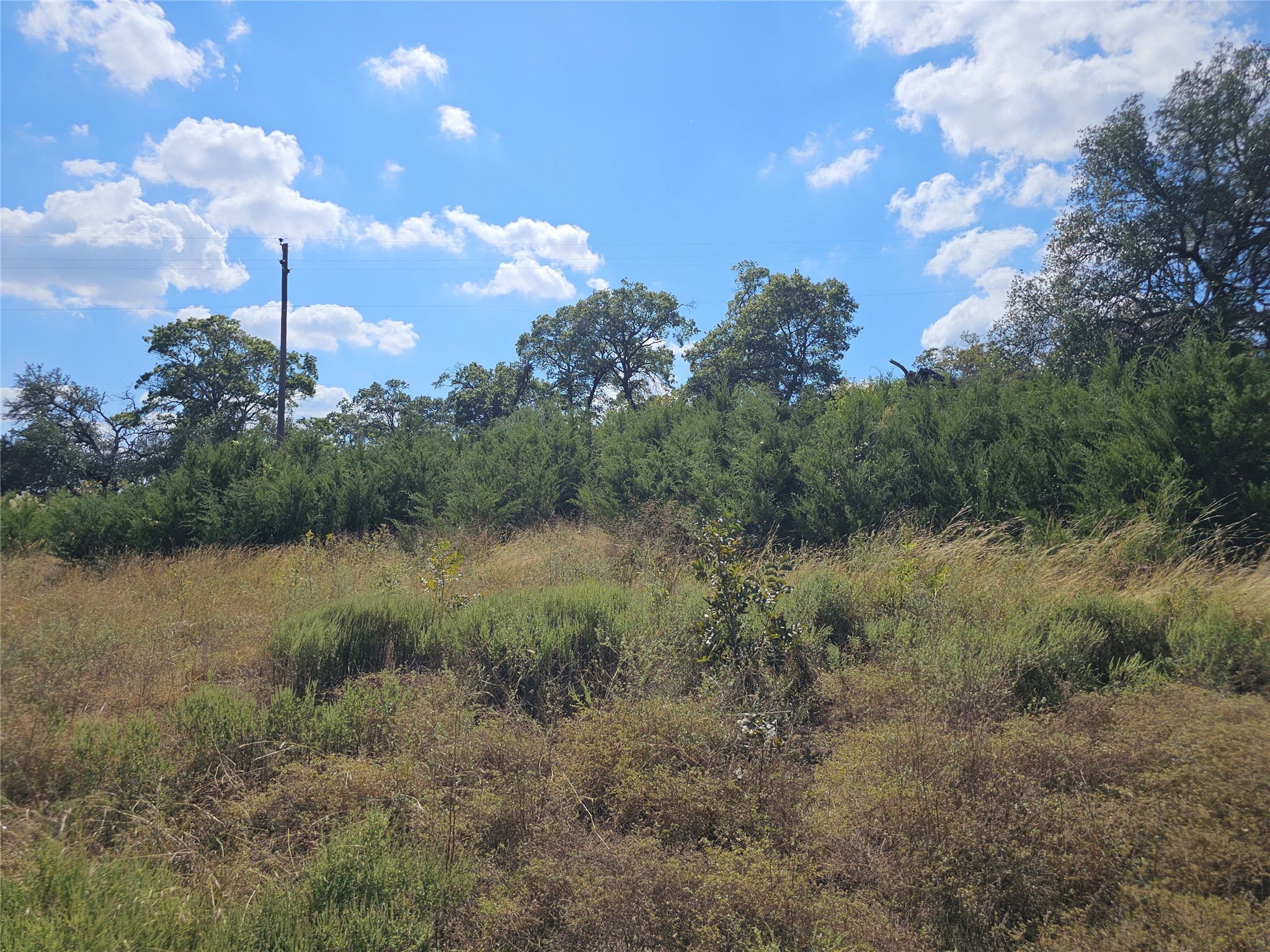 TBD-29.38 Acres Greenbriar Road Gatesville TX 76528