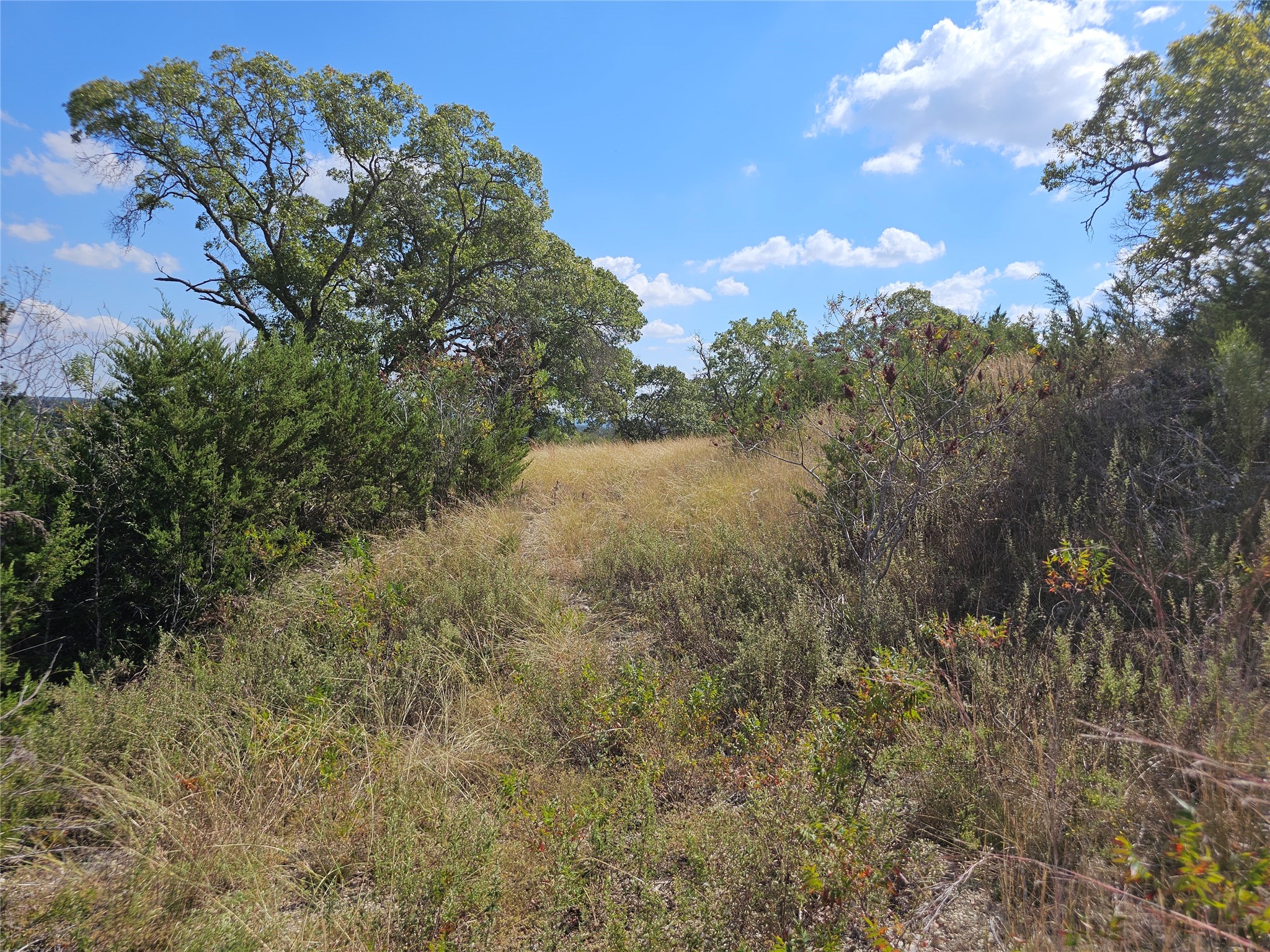 TBD-29.38 Acres Greenbriar Road Gatesville TX 76528