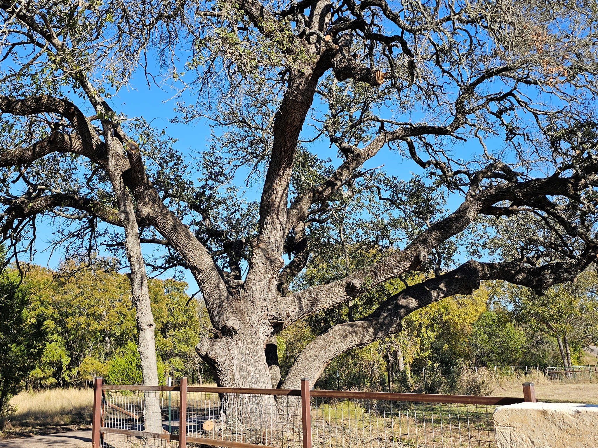 TBD-29.38 Acres Greenbriar Road Gatesville TX 76528