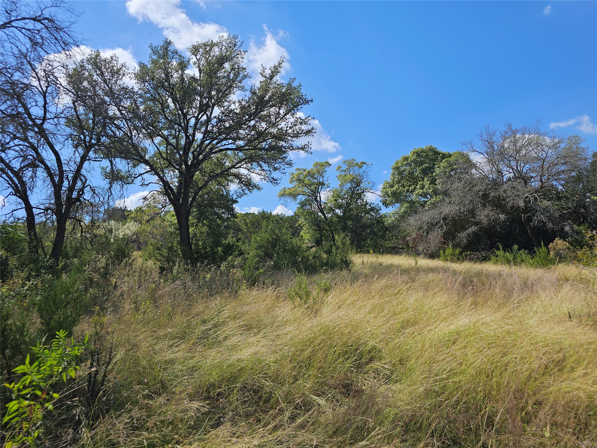 TBD-29.38 Acres Greenbriar Road Gatesville TX 76528
