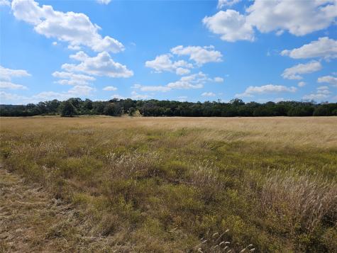 TBD-29.38 Acres Greenbriar Road Gatesville TX 76528