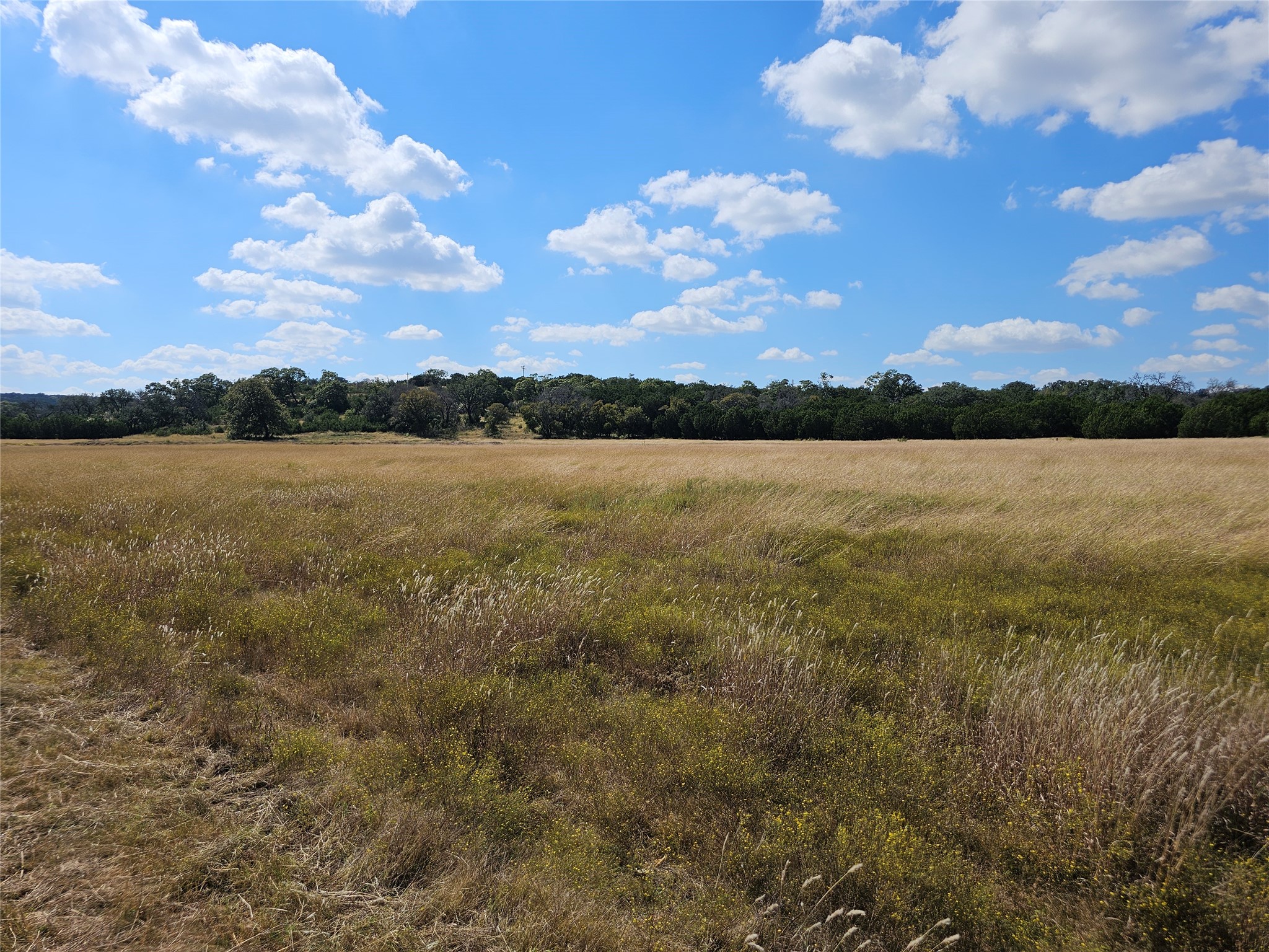 TBD-29.38 Acres Greenbriar Road Gatesville TX 76528