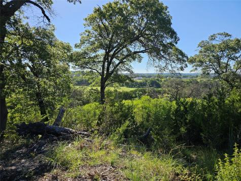 TBD-29.38 Acres Greenbriar Road Gatesville TX 76528