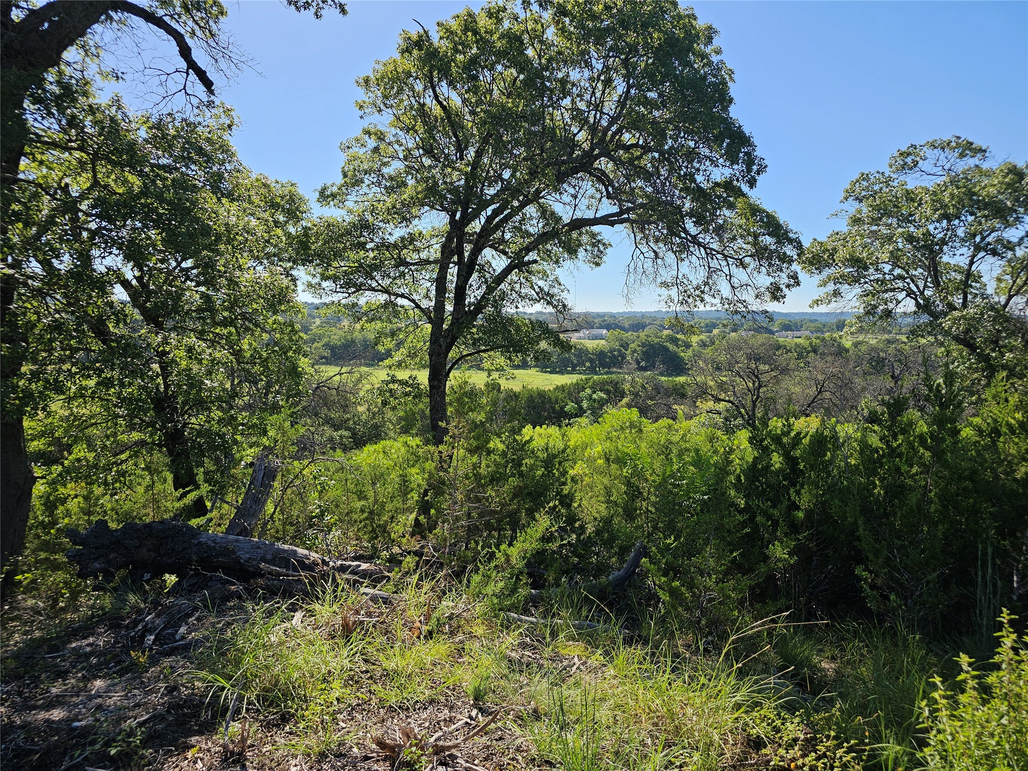 TBD-29.38 Acres Greenbriar Road Gatesville TX 76528