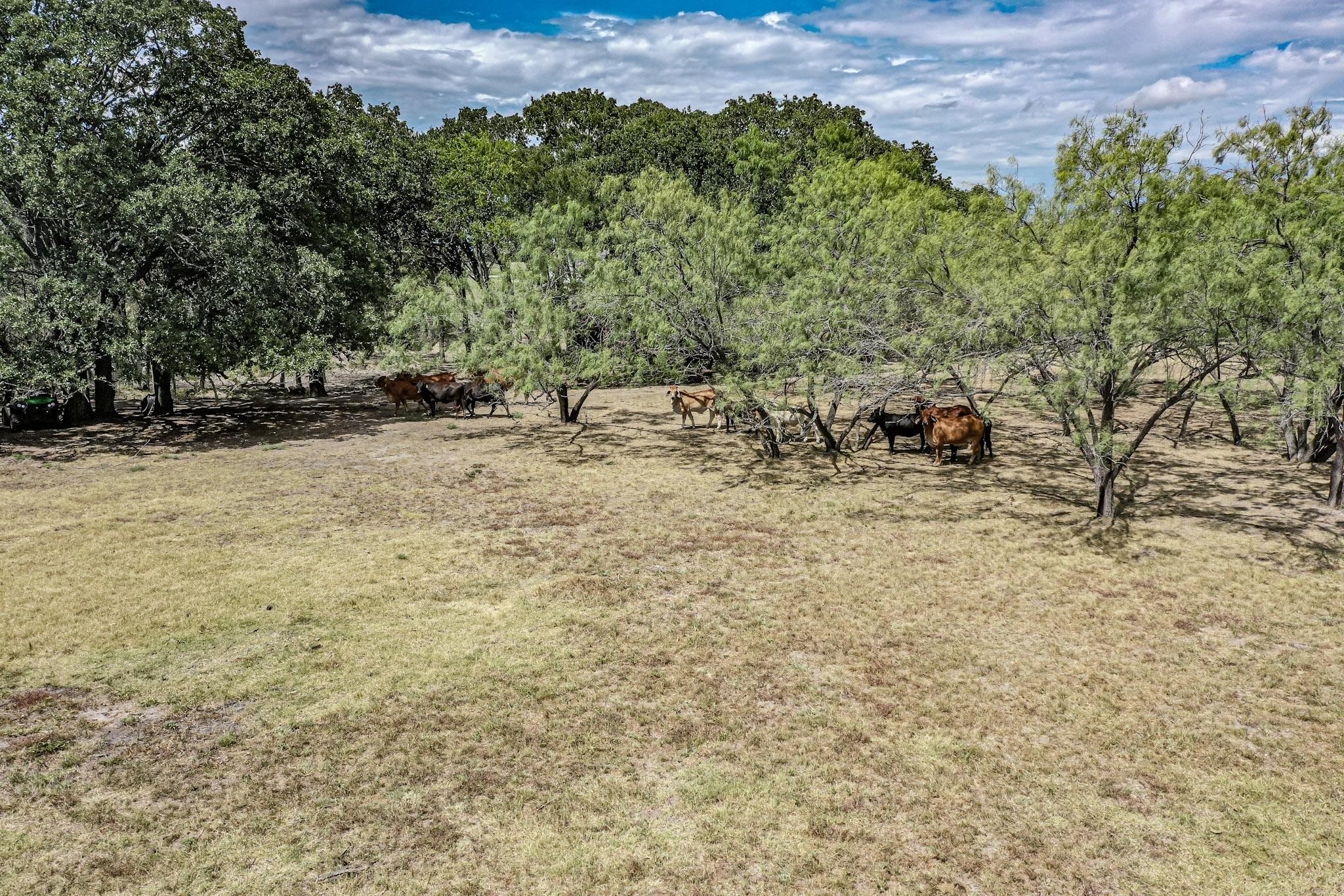 637 Lyman T Davis Drive Corsicana TX 75110