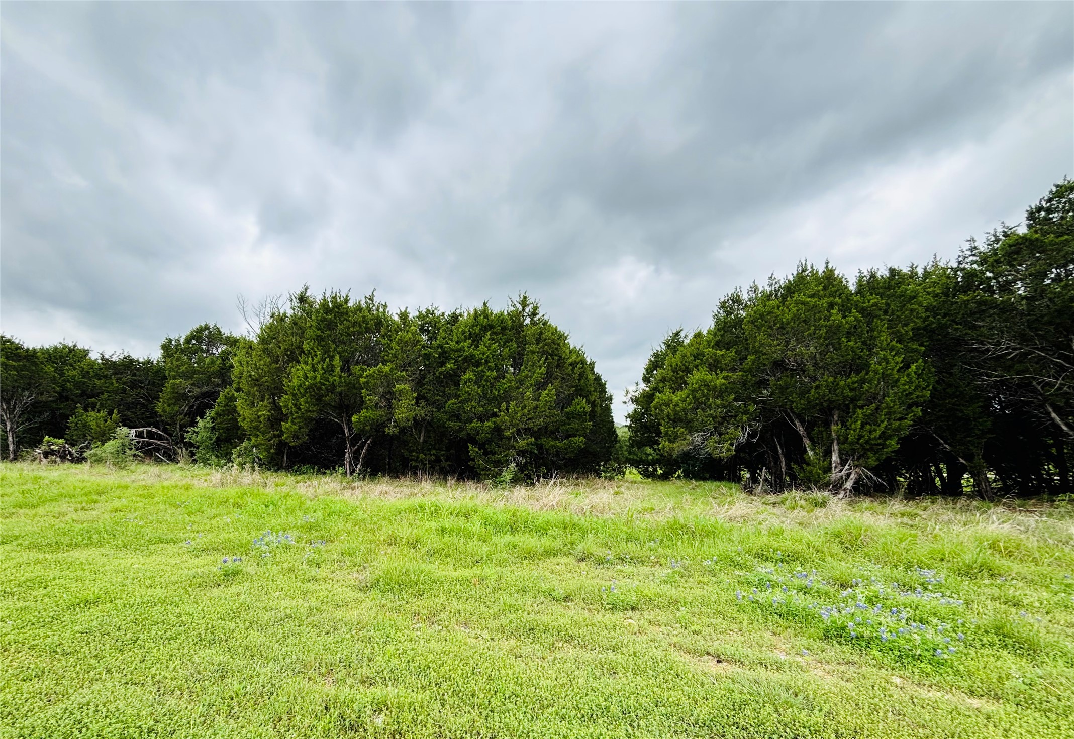 8504 Dornoch Street Cleburne TX 76033