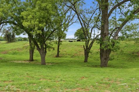 10501-8 Mitchell Bend Court Granbury TX 76048