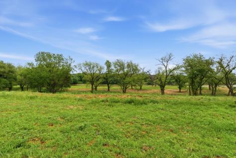 10501-8 Mitchell Bend Court Granbury TX 76048