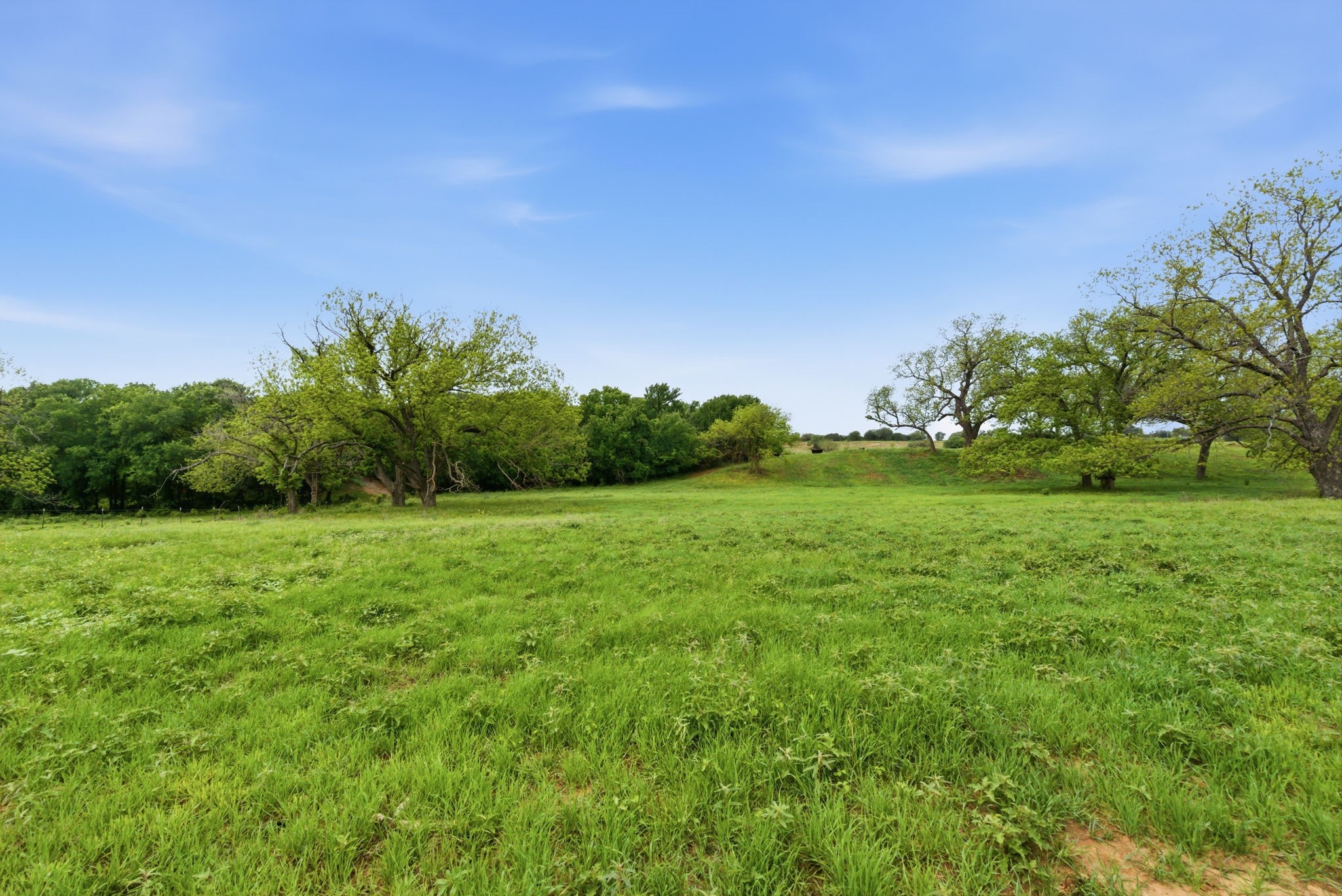 10501-8 Mitchell Bend Court Granbury TX 76048