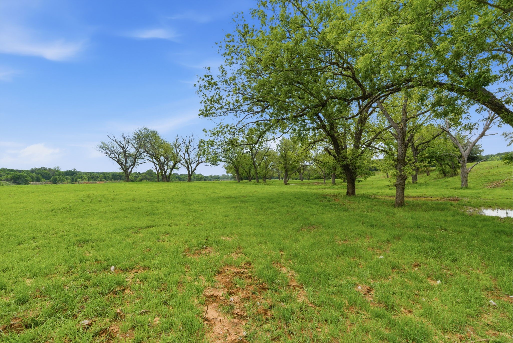10501-8 Mitchell Bend Court Granbury TX 76048