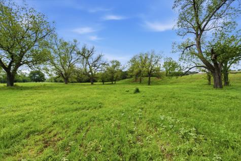 10501-8 Mitchell Bend Court Granbury TX 76048