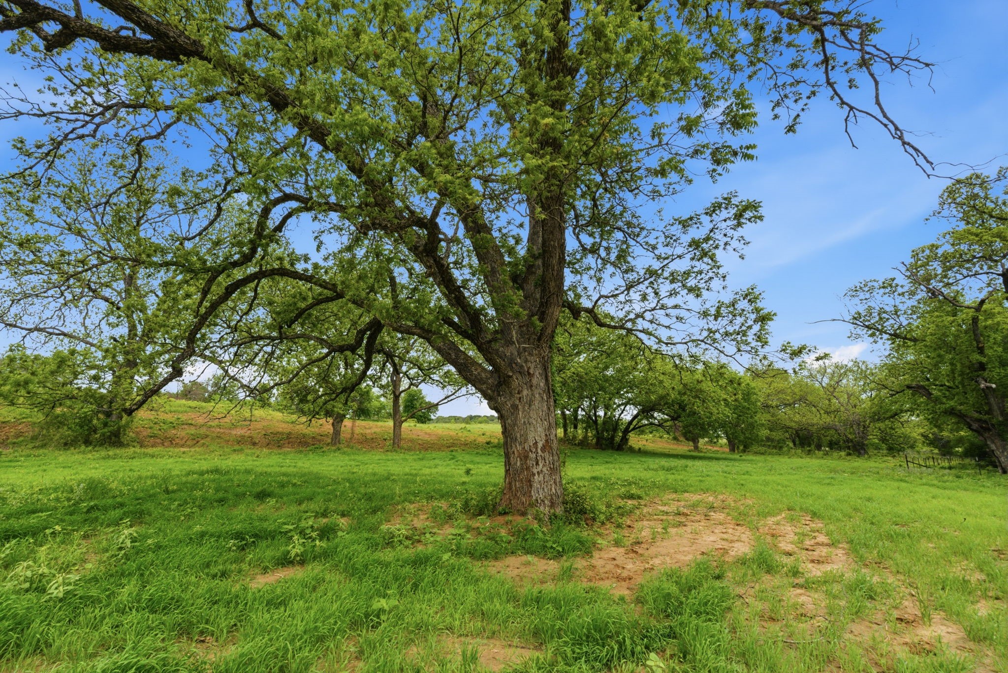 10501-8 Mitchell Bend Court Granbury TX 76048