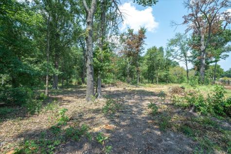 Tbd I-20 Service Road Wills Point TX 75169