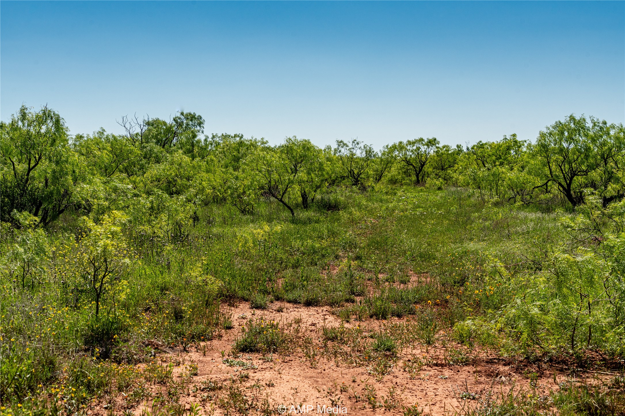 T B D Fm 600 Haskell TX 79521