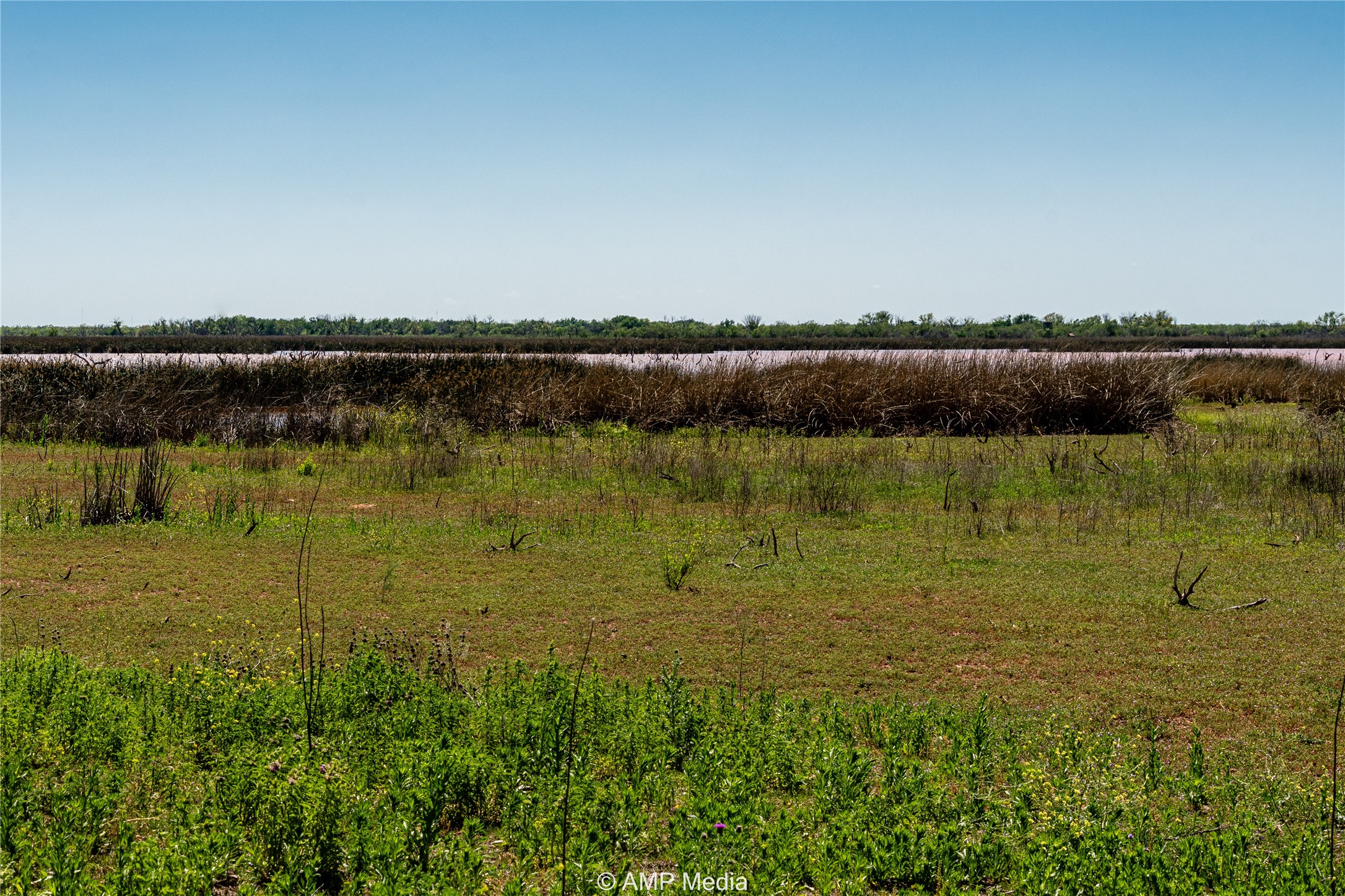 T B D Fm 600 Haskell TX 79521