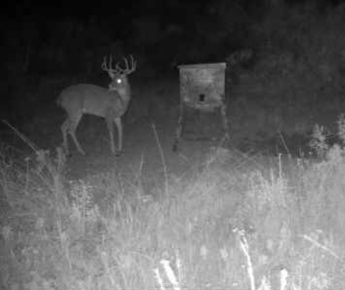 T B D Fm 600 Haskell TX 79521