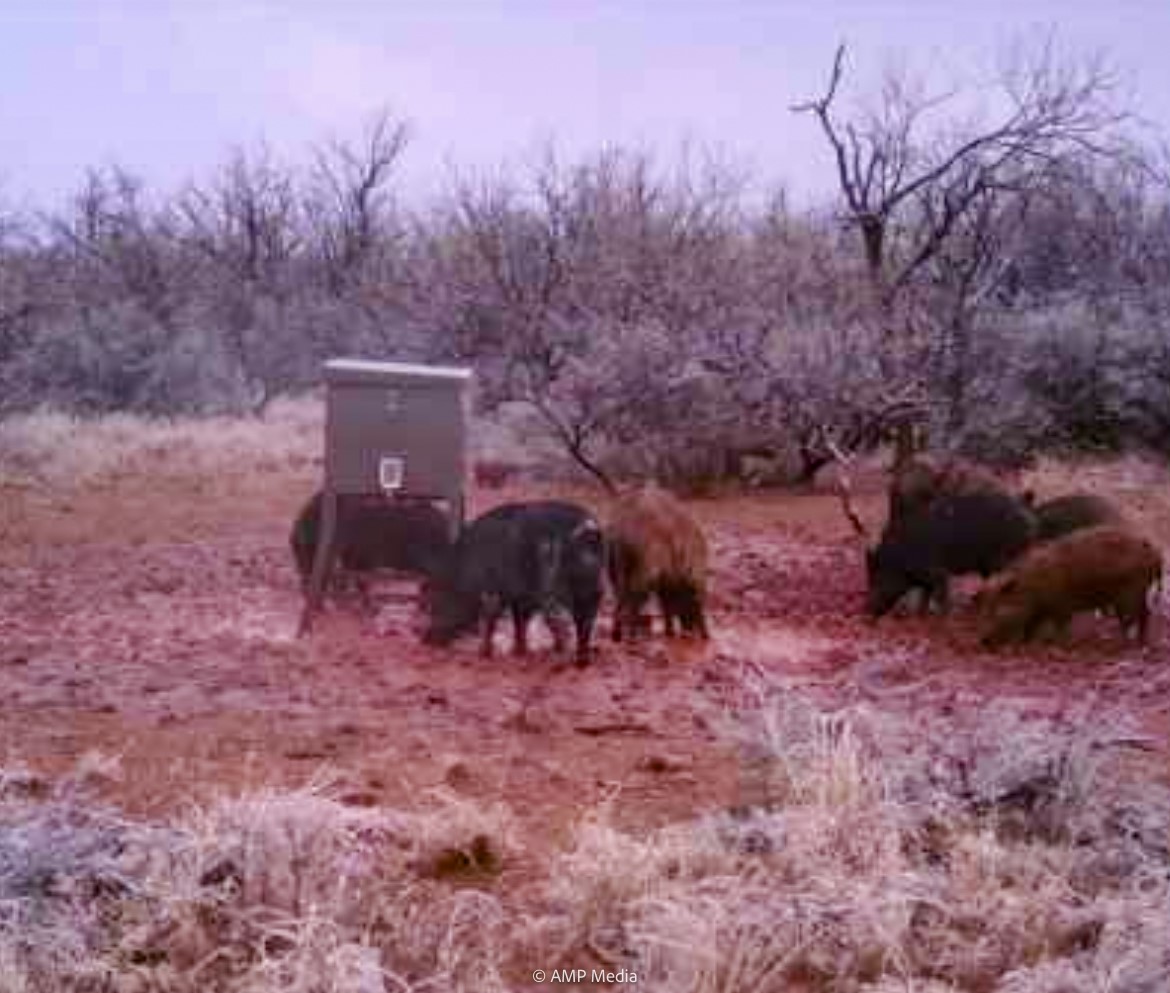T B D Fm 600 Haskell TX 79521