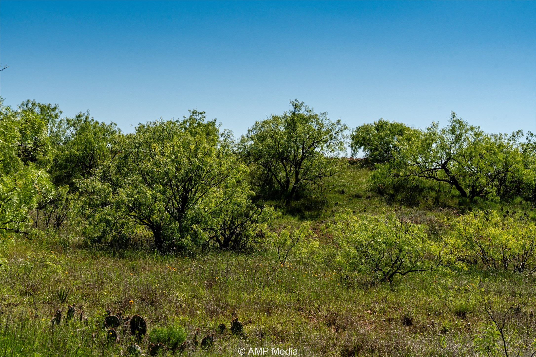 T B D Fm 600 Haskell TX 79521