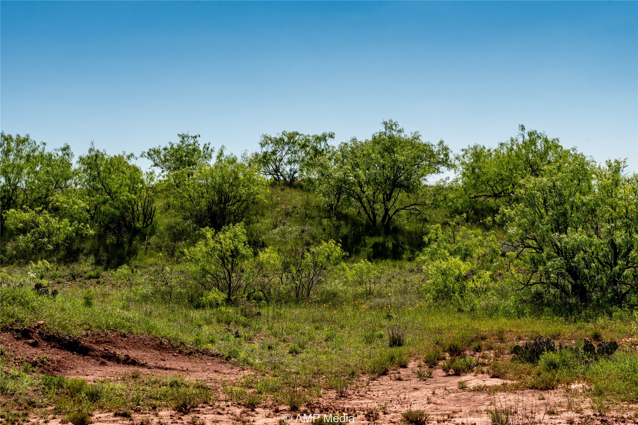 T B D Fm 600 Haskell TX 79521