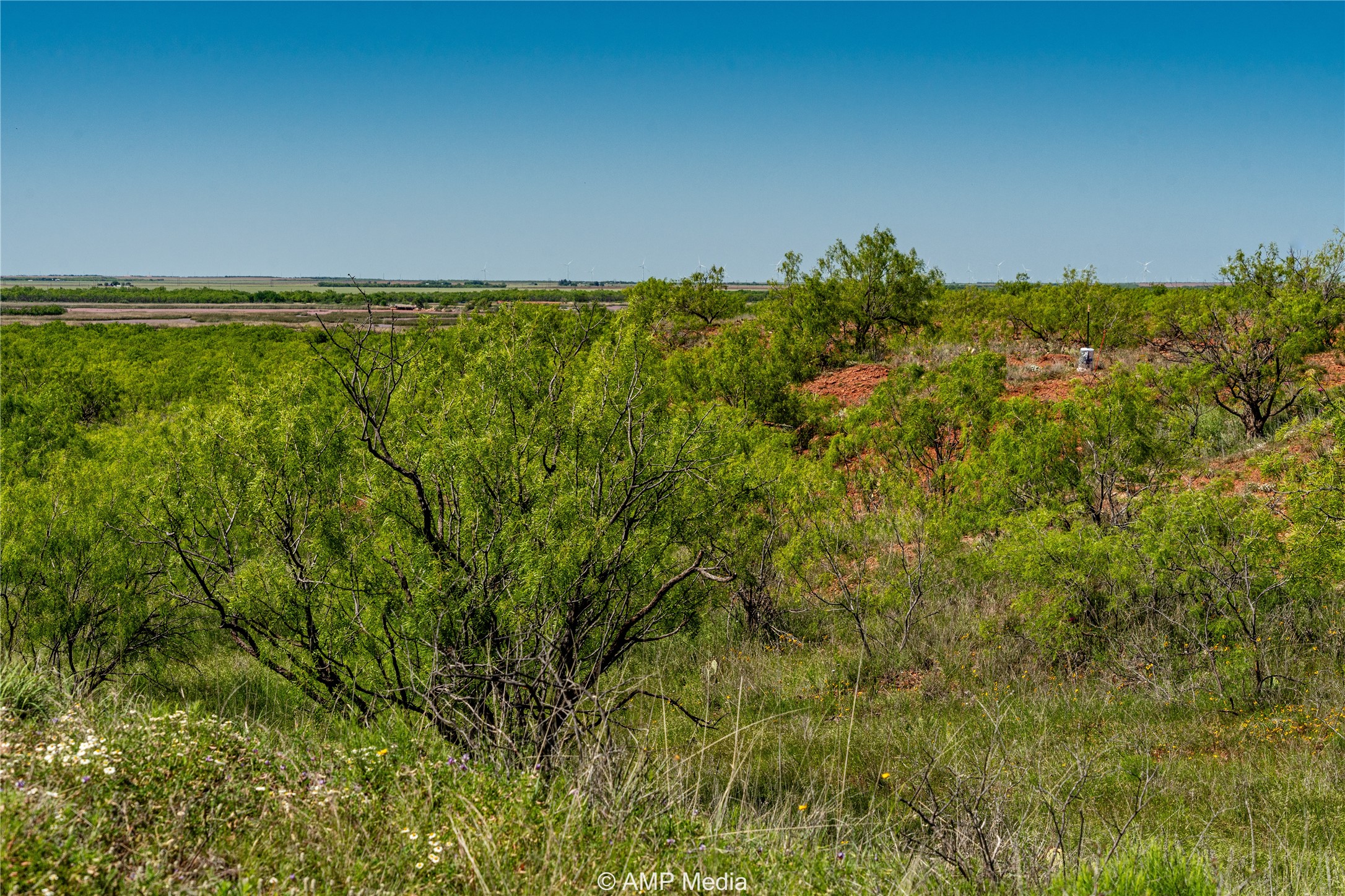 T B D Fm 600 Haskell TX 79521