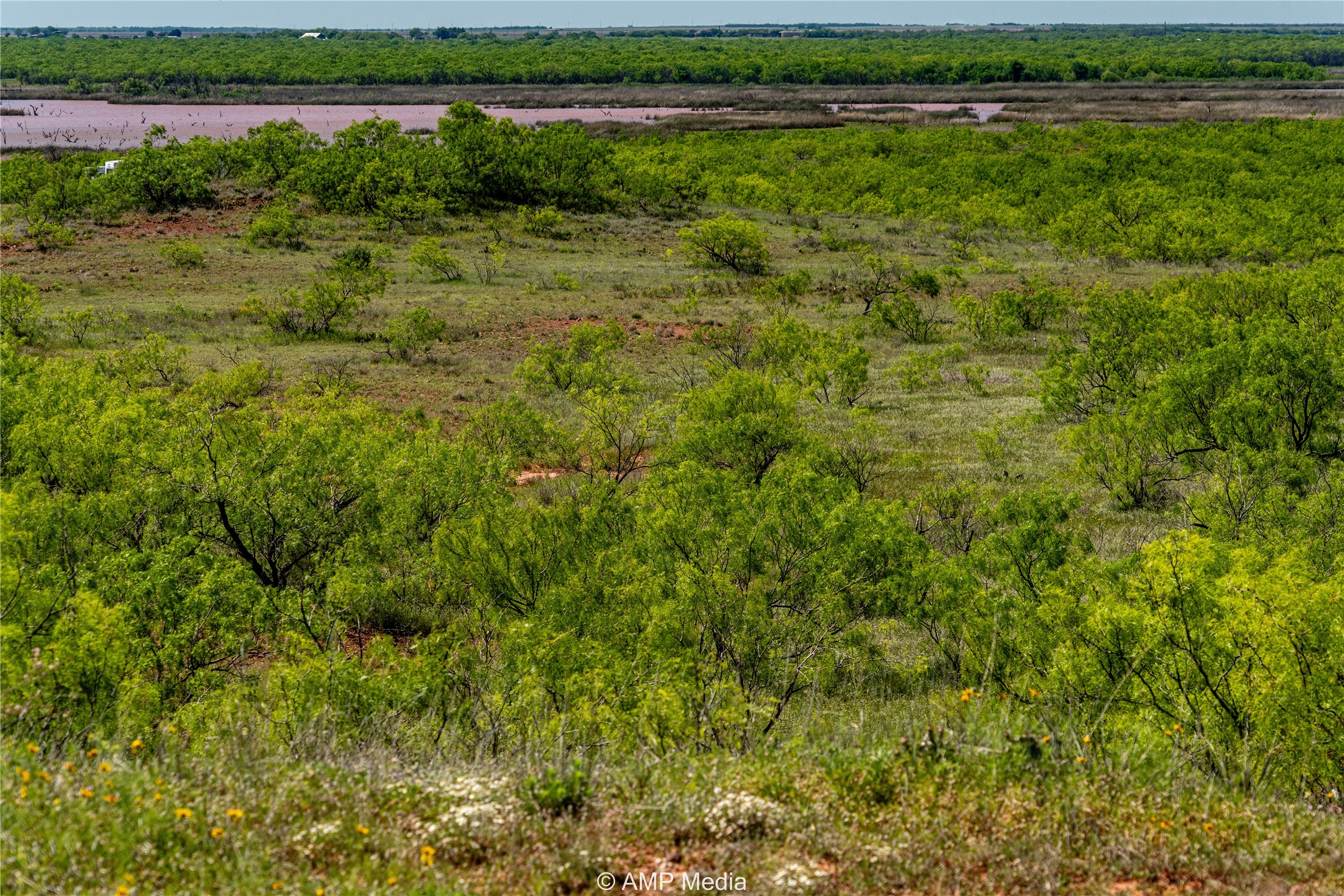T B D Fm 600 Haskell TX 79521