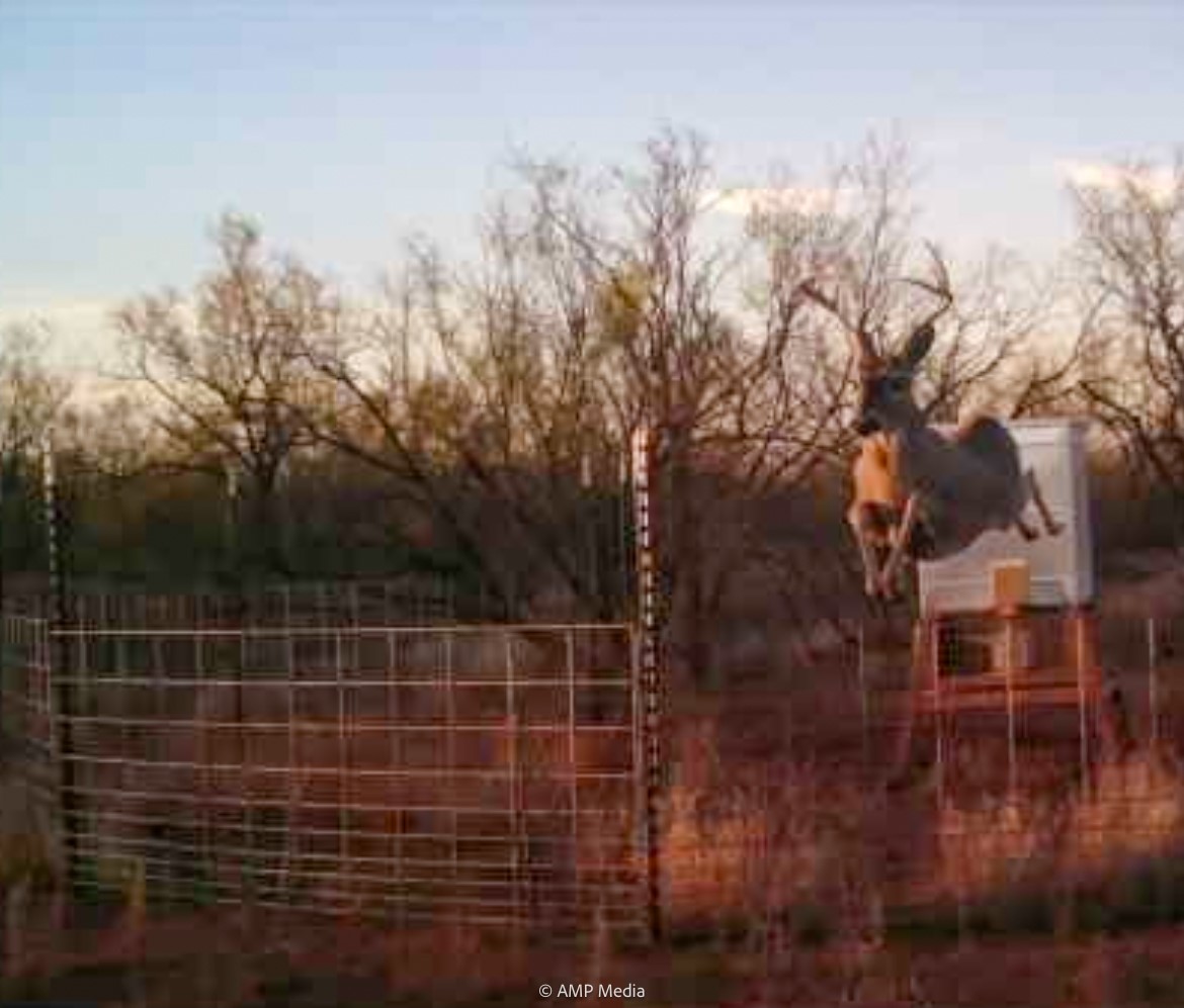 T B D Fm 600 Haskell TX 79521