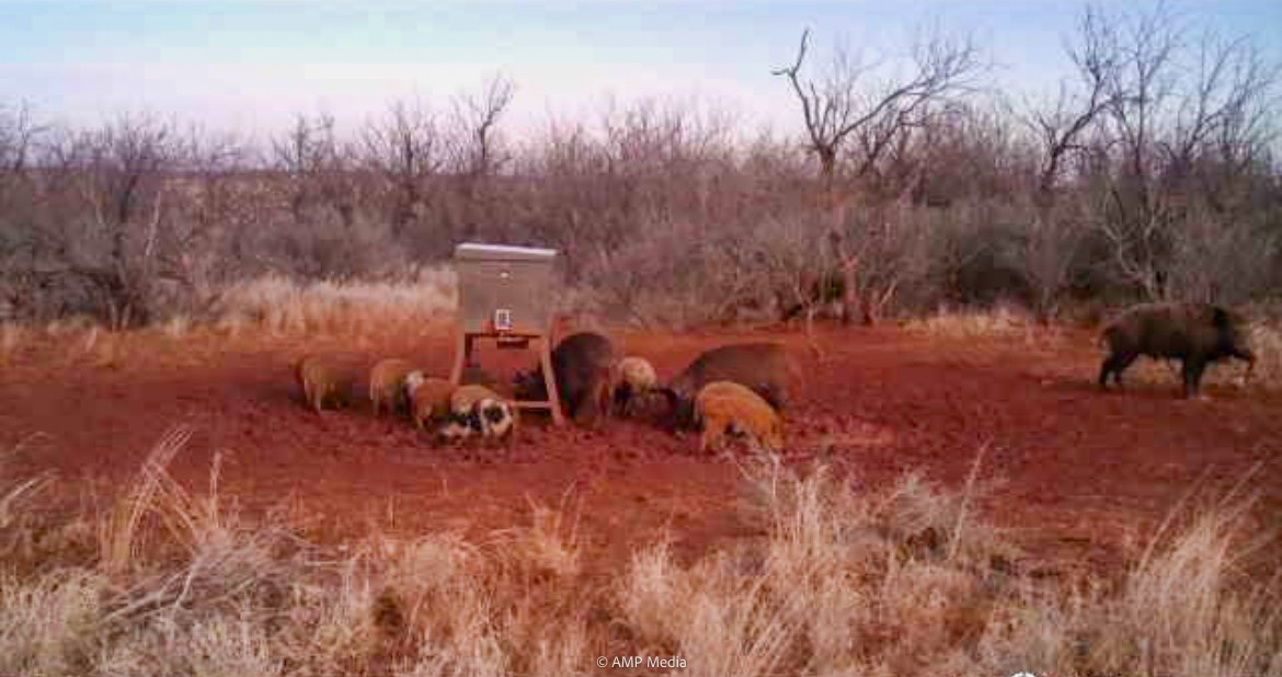 T B D Fm 600 Haskell TX 79521