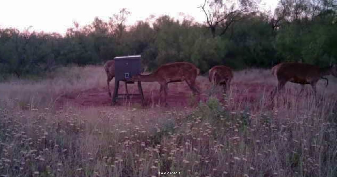 T B D Fm 600 Haskell TX 79521