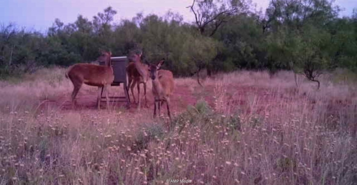 T B D Fm 600 Haskell TX 79521