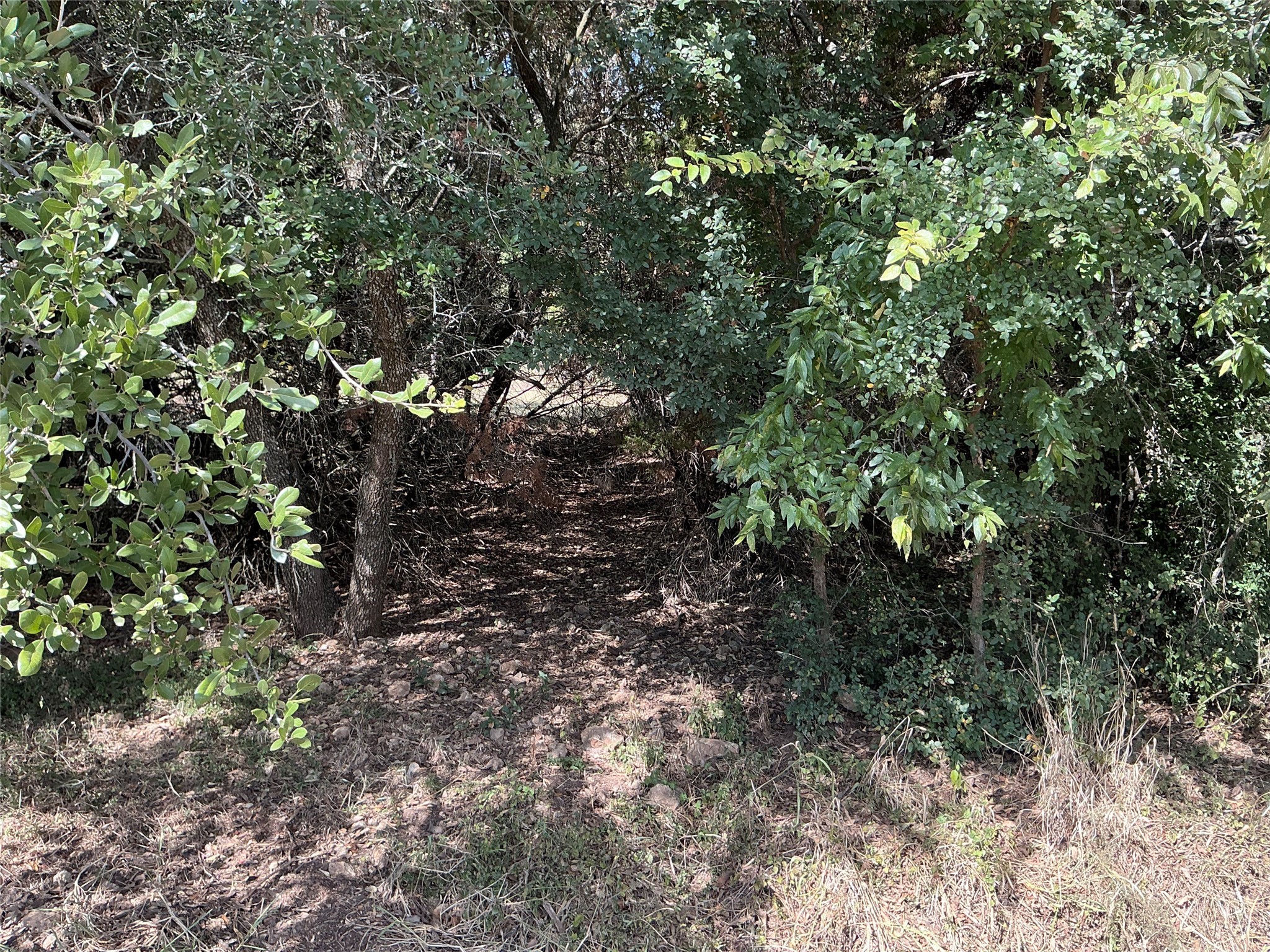 24002 Stonewood Drive Whitney TX 76692