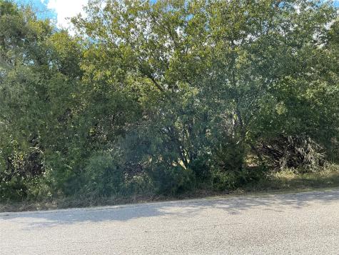 24002 Stonewood Drive Whitney TX 76692