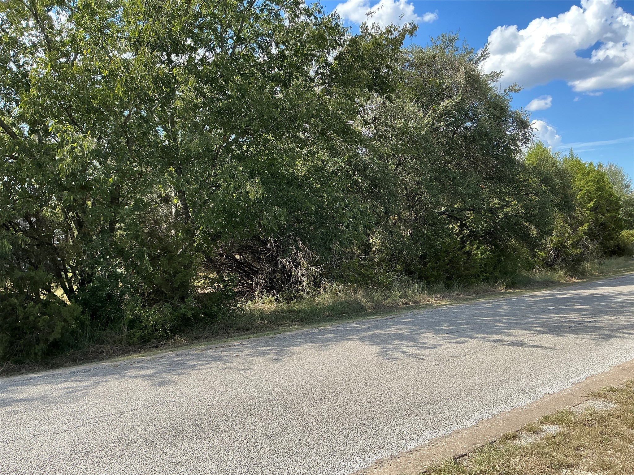 24002 Stonewood Drive Whitney TX 76692