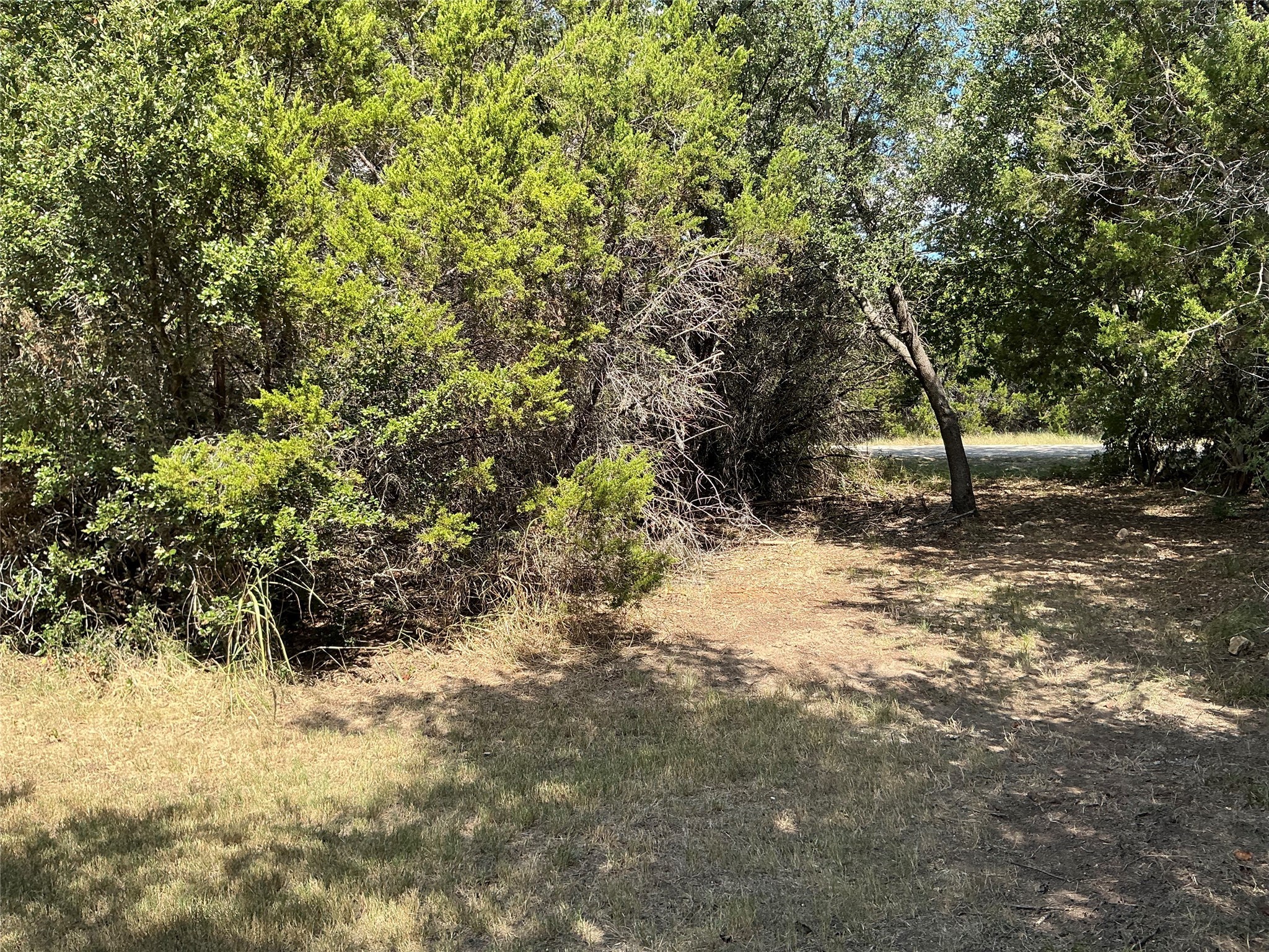 24002 Stonewood Drive Whitney TX 76692