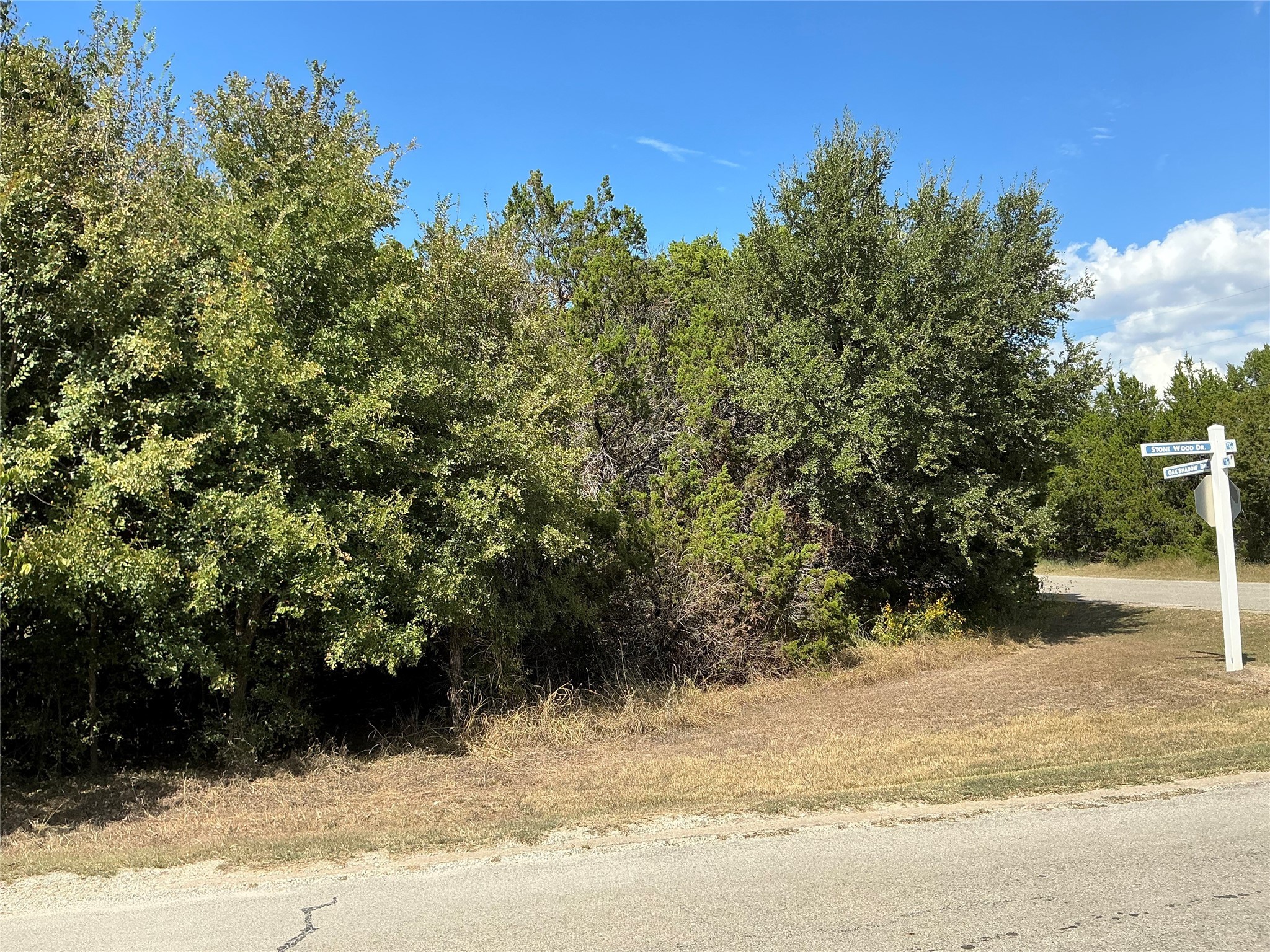 24002 Stonewood Drive Whitney TX 76692