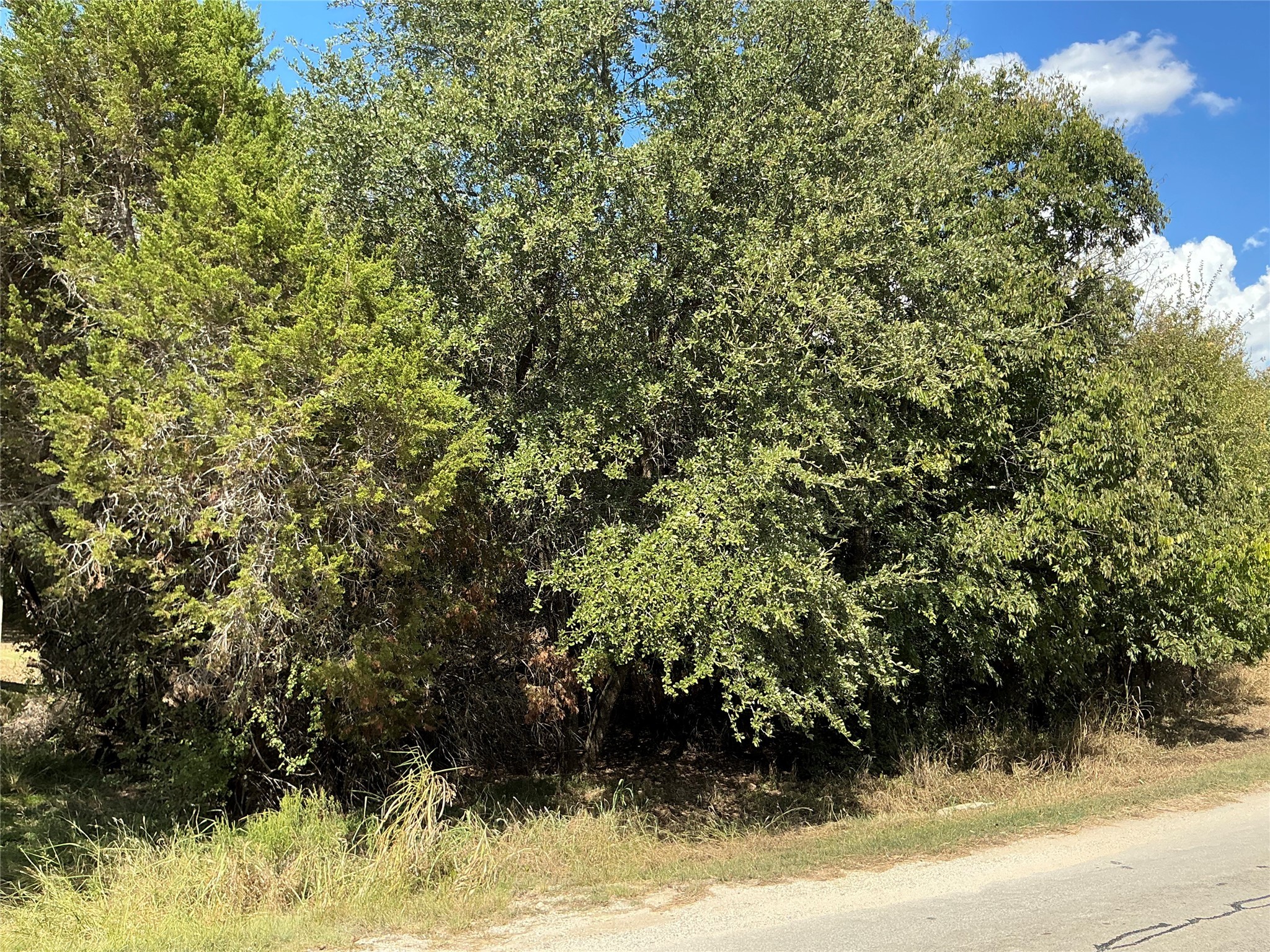 24002 Stonewood Drive Whitney TX 76692