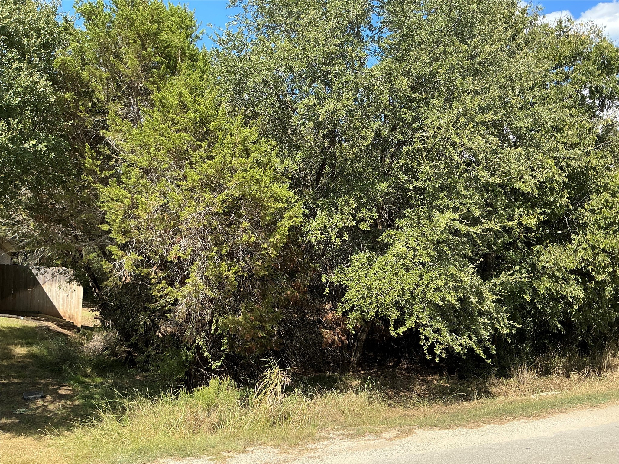 24002 Stonewood Drive Whitney TX 76692