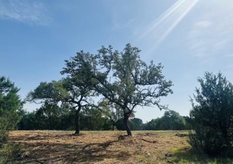 TBD Lot 32 Hank Williams Way Burnet TX 78605
