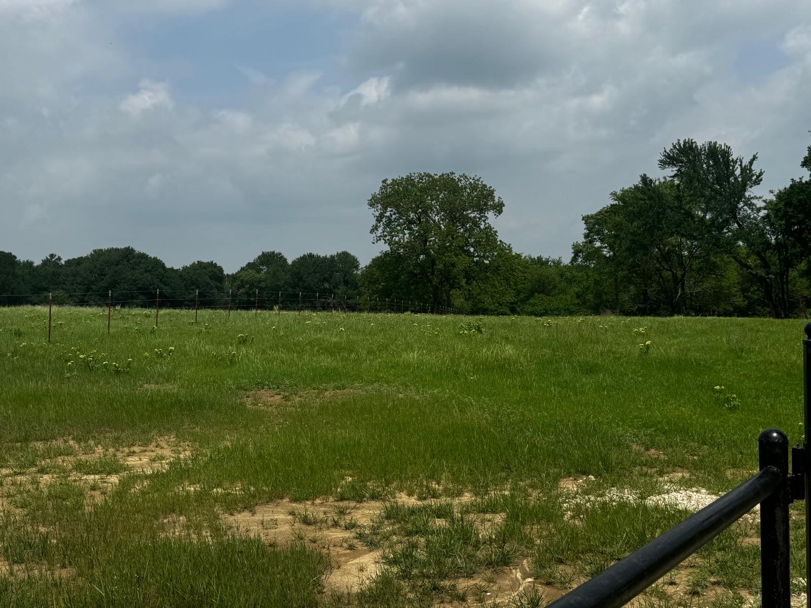 Tbd State Hwy 56 State Highway 56 Whitesboro TX 76273