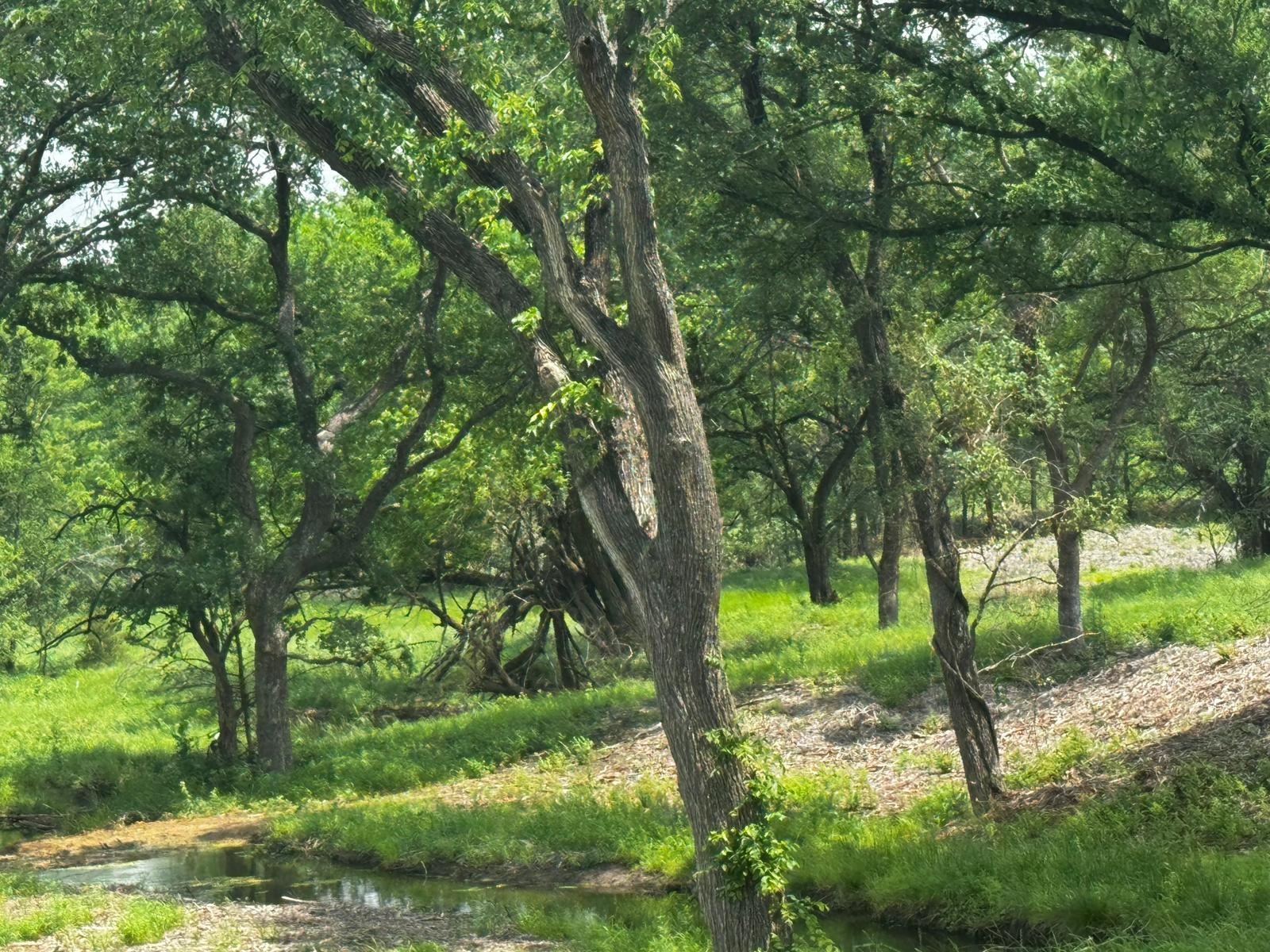 Tbd State Hwy 56 State Highway 56 Whitesboro TX 76273