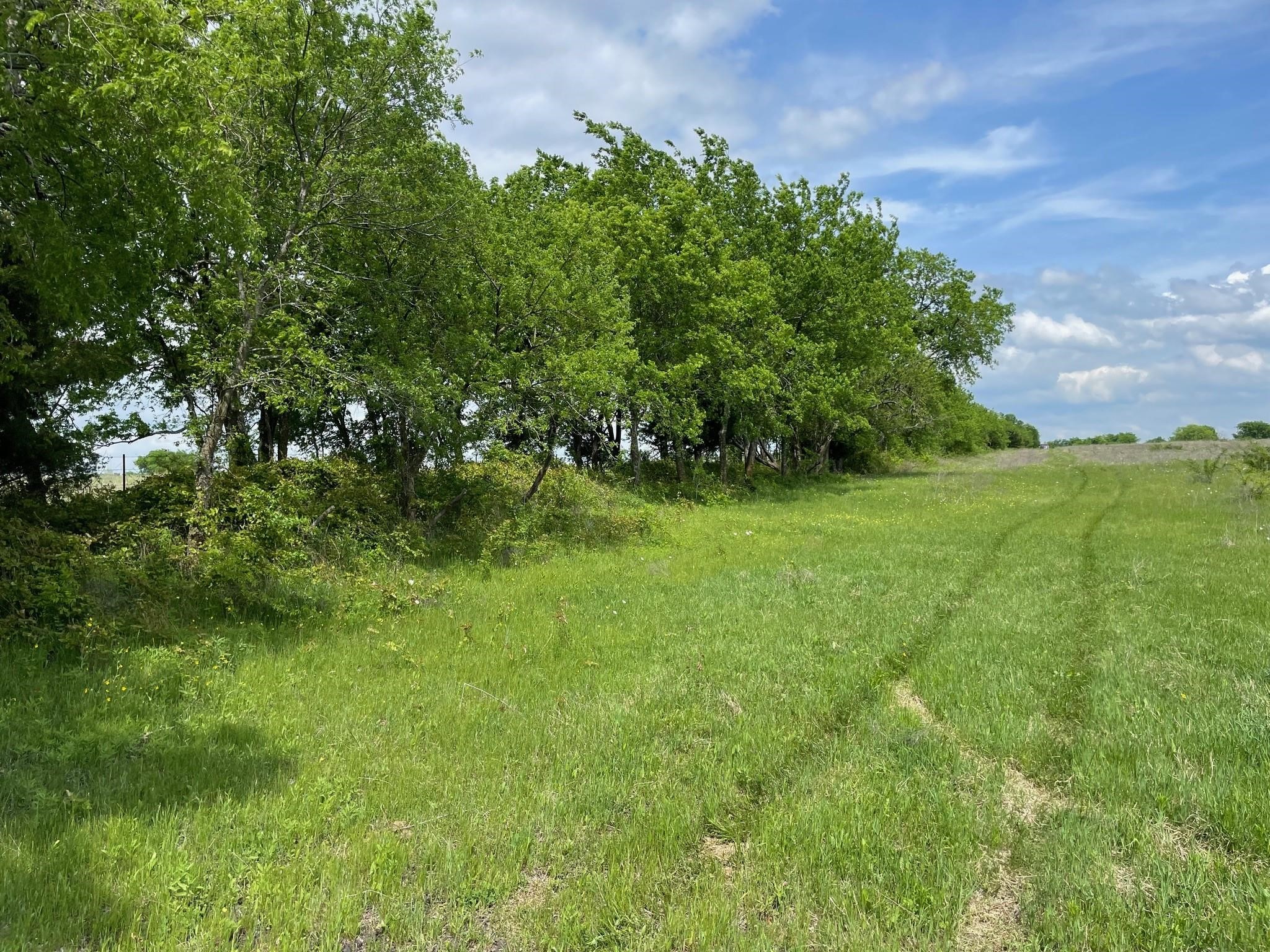 26 Acres Fm 118 Greenville TX 75401